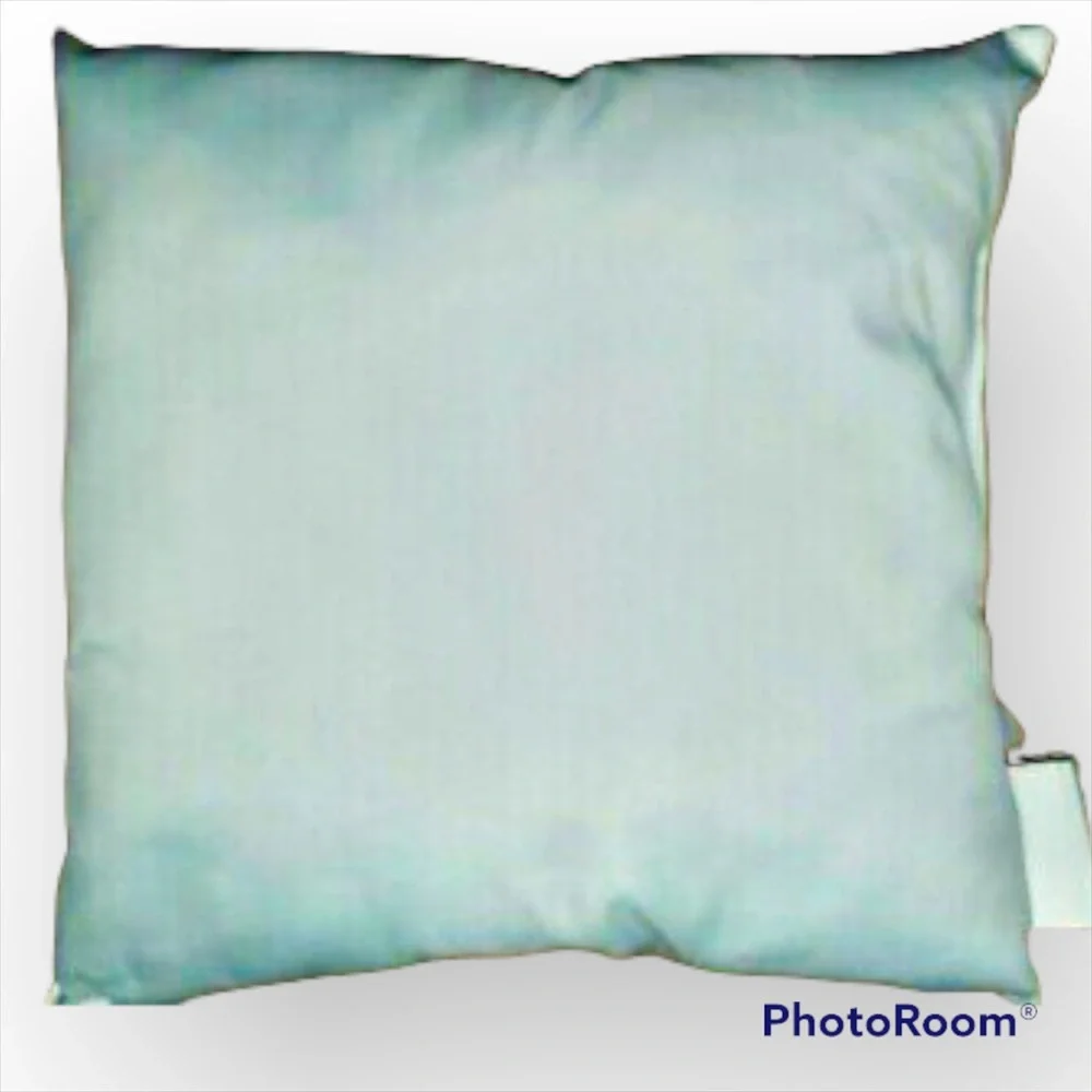 🐶 DOG LOVERS ACCENT PILLOW 🐶